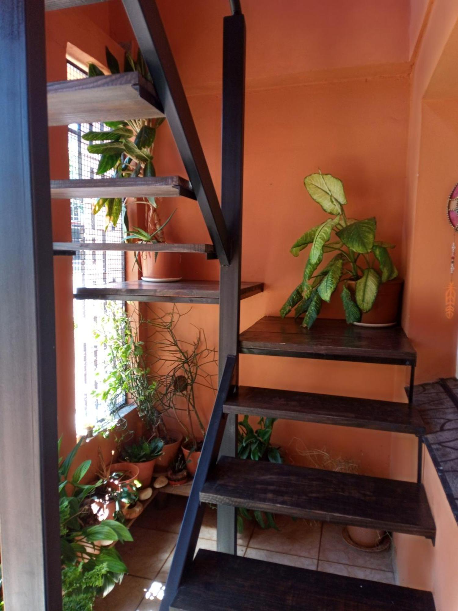 La Casa De Sol *